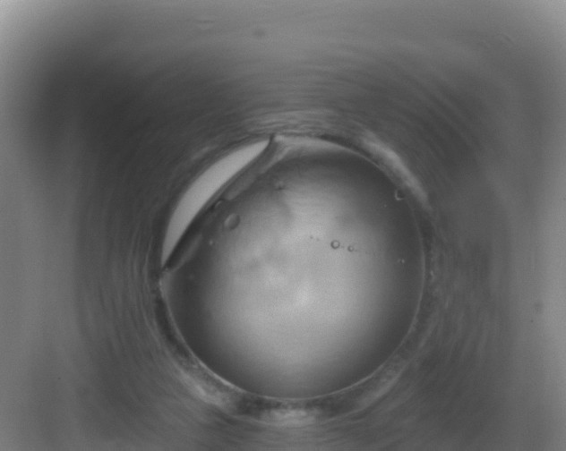 X0000083040161200702091418