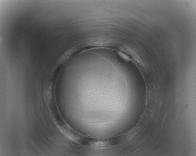 X0000083040163200702091418