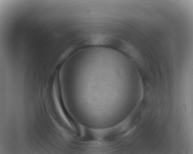 X0000083040164200702091418