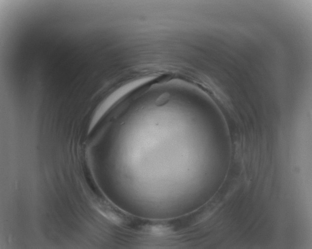 X0000083040165200702091418