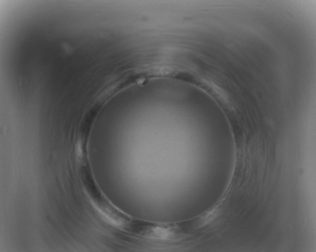 X0000083040166200702091418