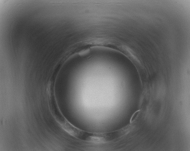 X0000083040167200702091418