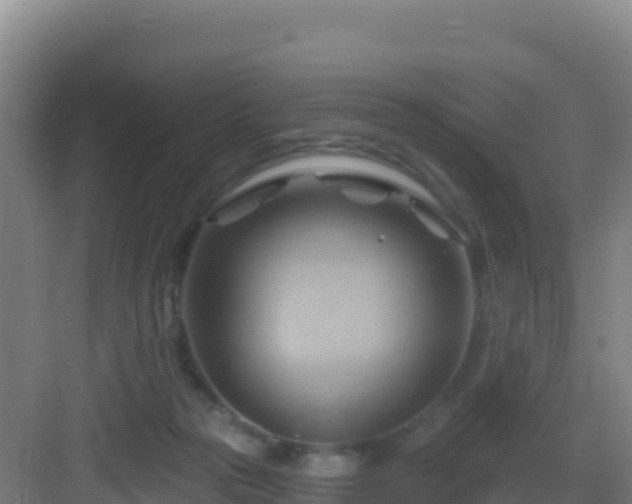 X0000083040169200702091418