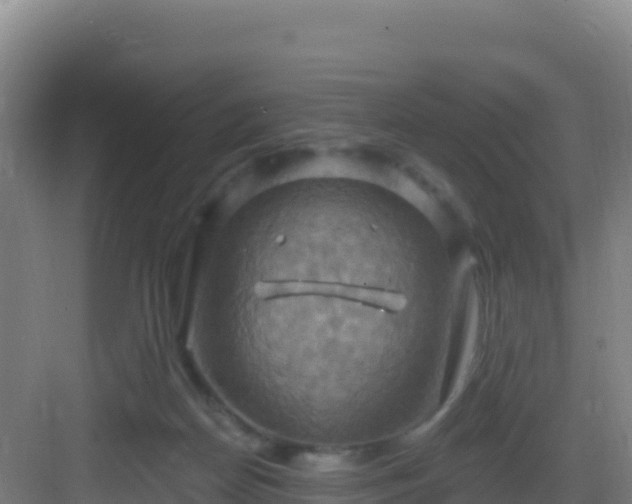 X0000083040170200702091418