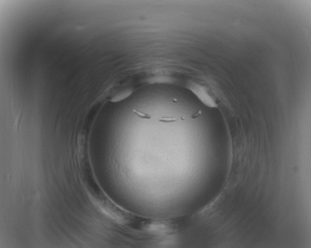 X0000083040171200702091418