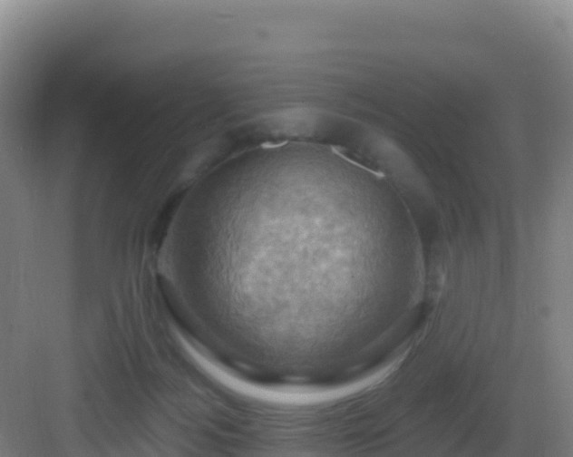 X0000083040172200702091418