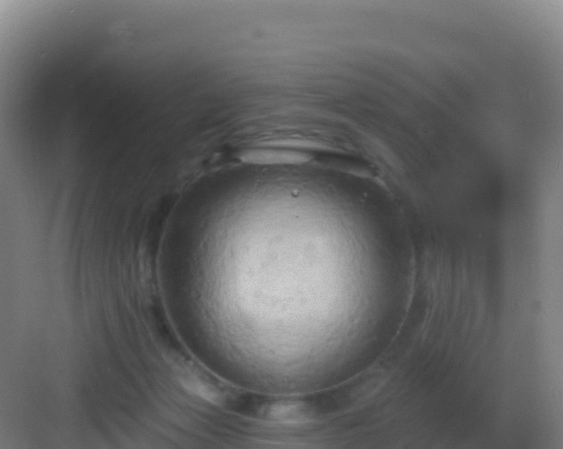 X0000083040173200702091418