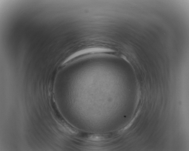 X0000083040174200702091418