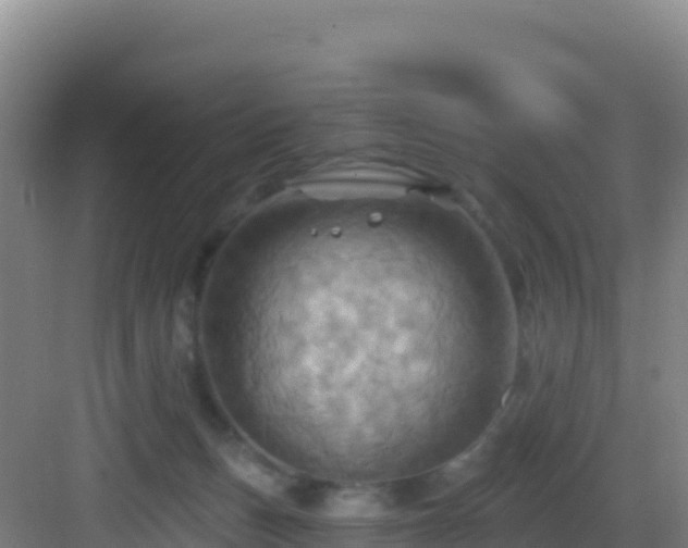 X0000083040175200702091418