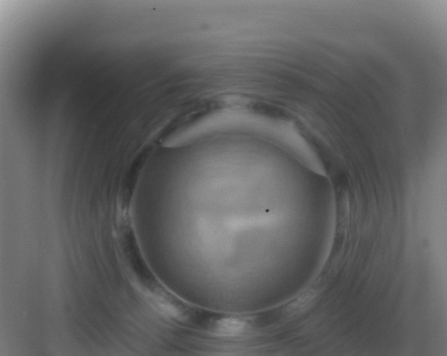 X0000083040176200702091418