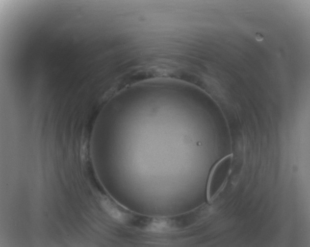 X0000083040177200702091418