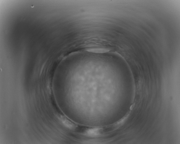 X0000083040178200702091418