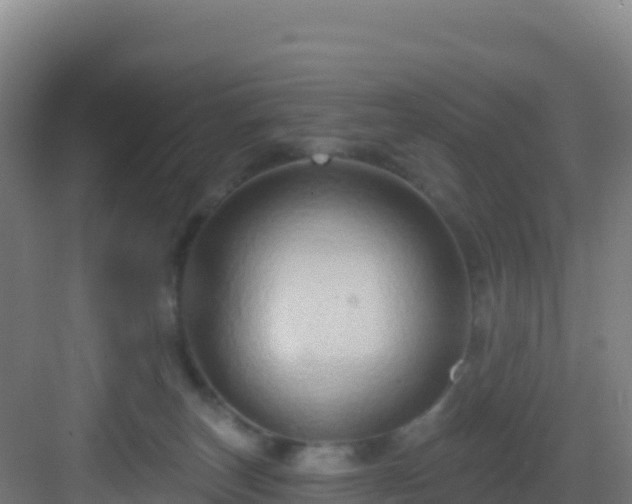 X0000083040179200702091418