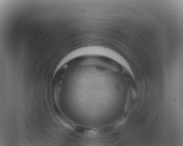 X0000083040180200702091418