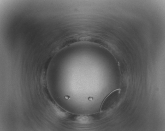 X0000083040181200702091418