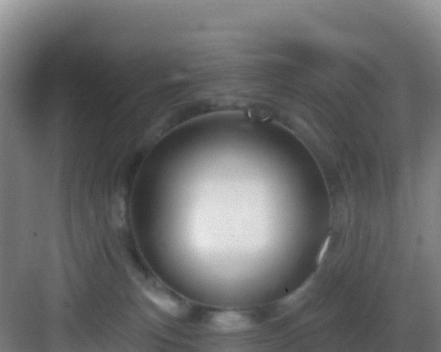 X0000083040183200702091418