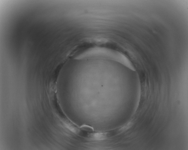 X0000083040184200702091418