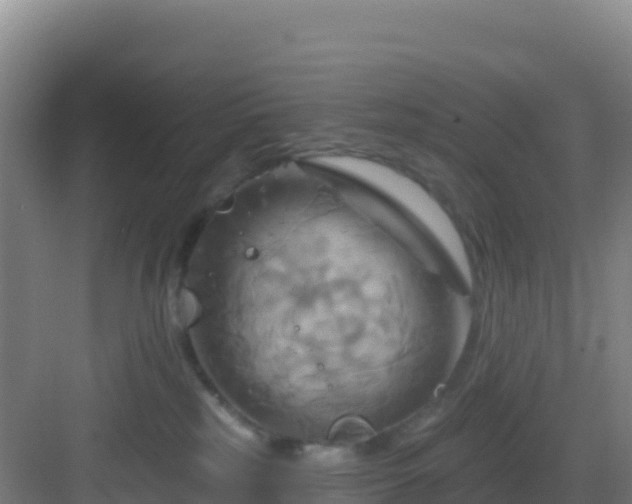 X0000083040185200702091418