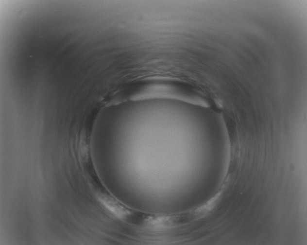 X0000083040186200702091418