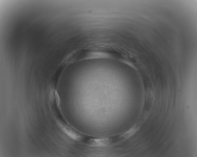 X0000083040188200702091418