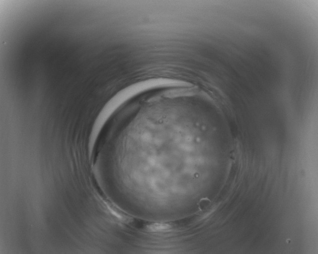 X0000083040189200702091418