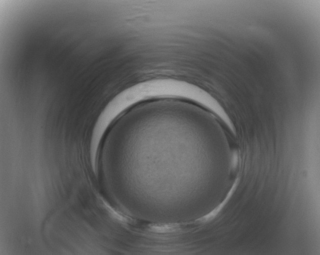 X0000083040190200702091418