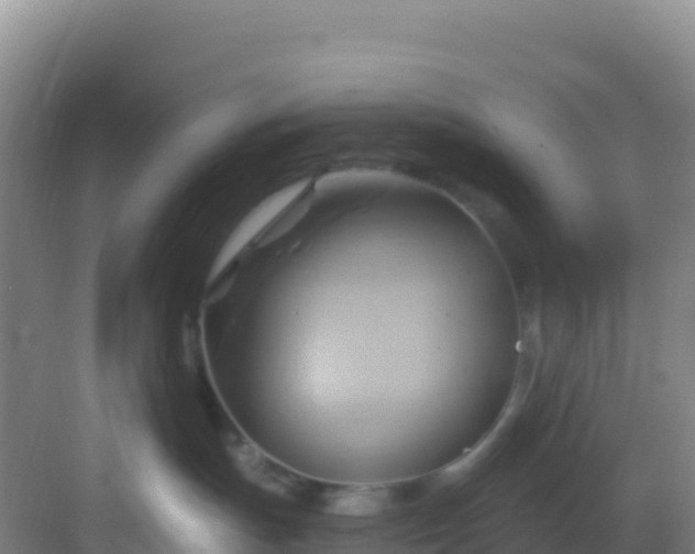 X0000083040191200702091418