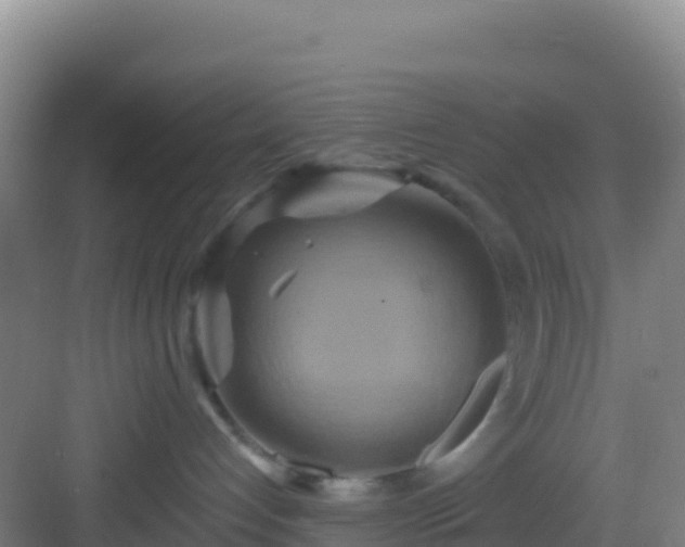 X0000083040192200702091418