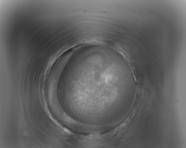 X0000083040193200702091418