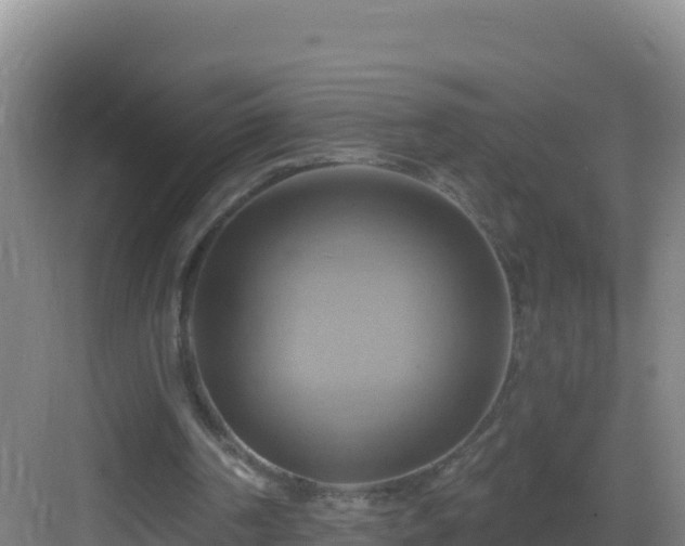 X0000083040194200702091418