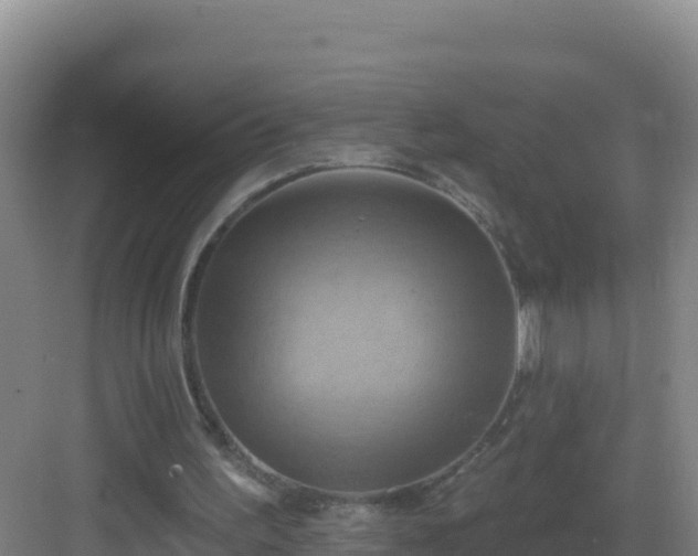 X0000083040195200702091418