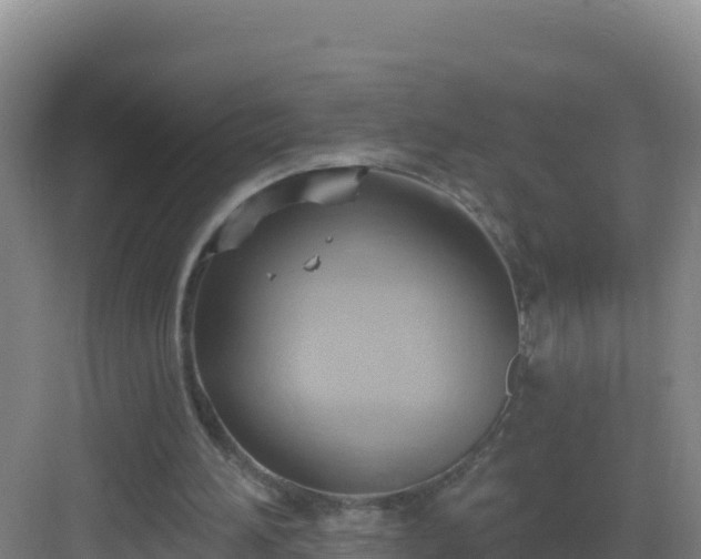 X0000083040196200702091418