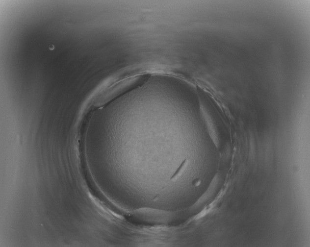 X0000083040197200702091418