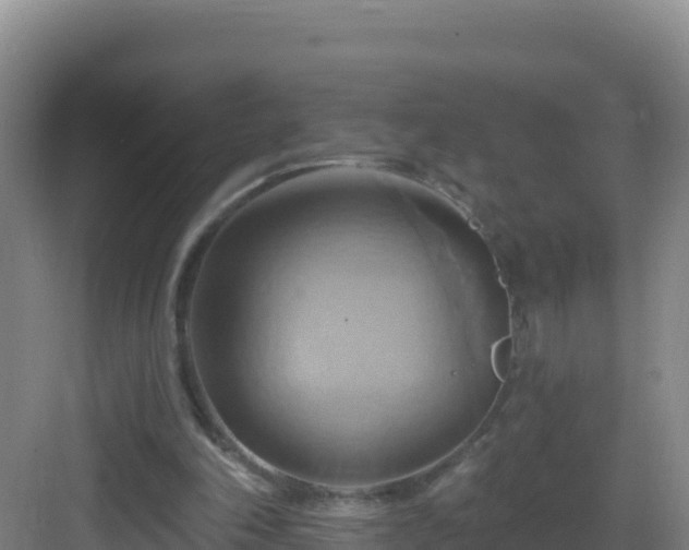 X0000083040198200702091417