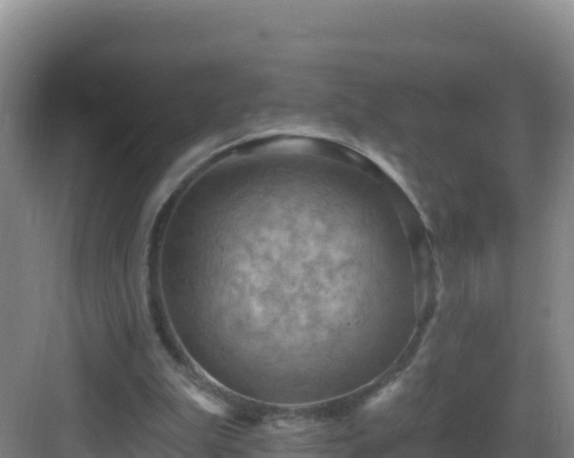 X0000083040199200702091417