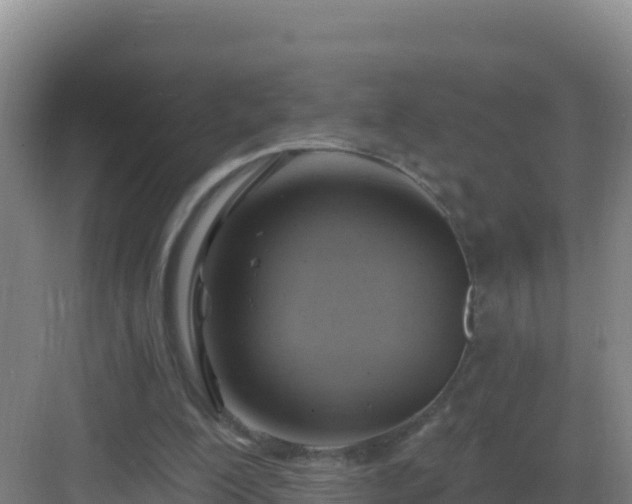 X0000083040200200702091417