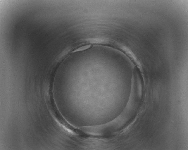 X0000083040201200702091417