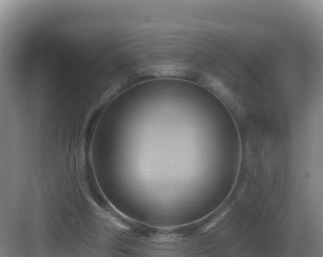 X0000083040202200702091417