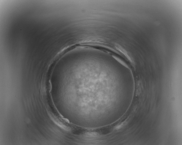 X0000083040203200702091417