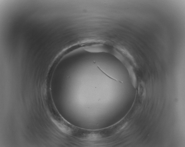 X0000083040204200702091417