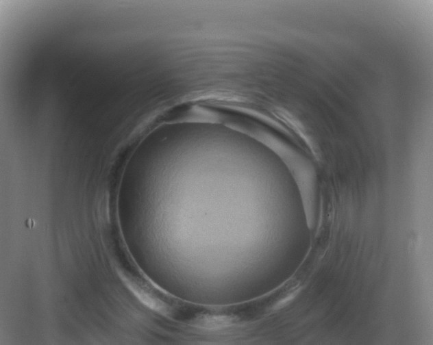 X0000083040205200702091417