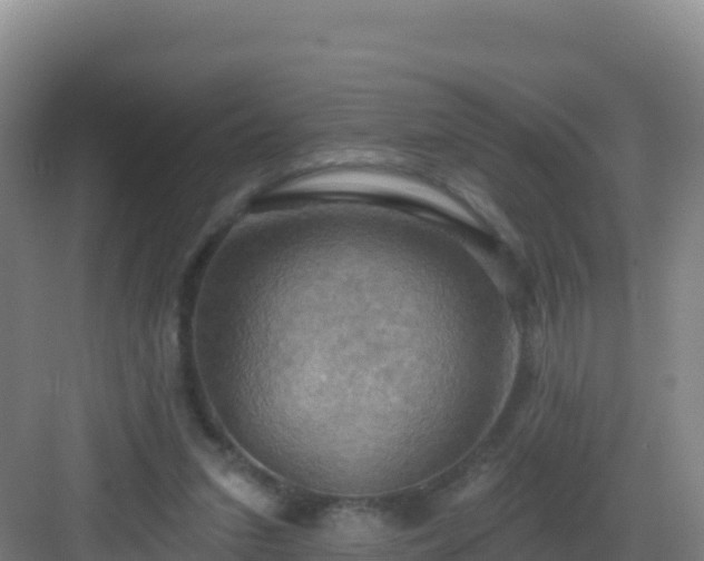 X0000083040207200702091417