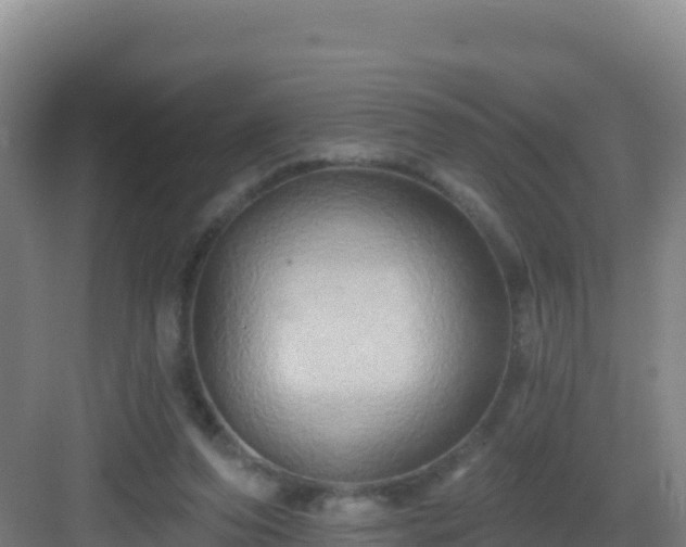 X0000083040208200702091417