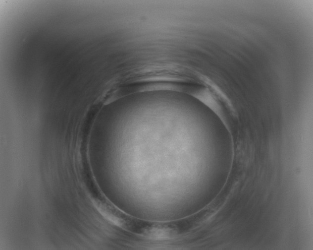 X0000083040209200702091417