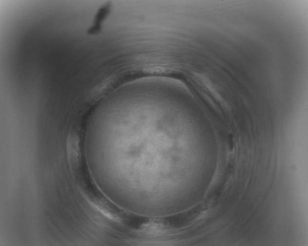 X0000083040211200702091417