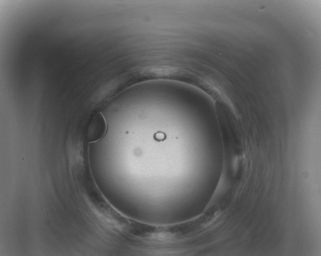 X0000083040212200702091417