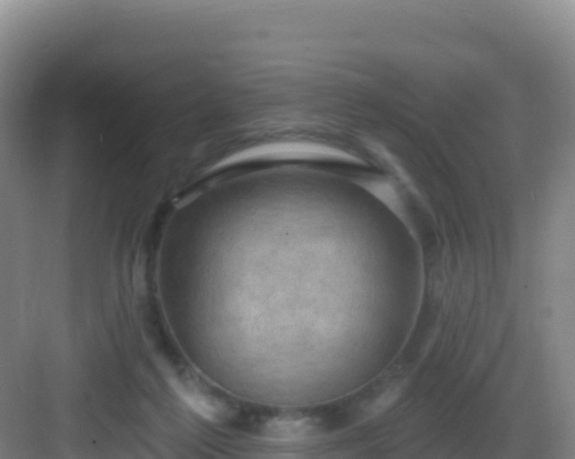 X0000083040213200702091417