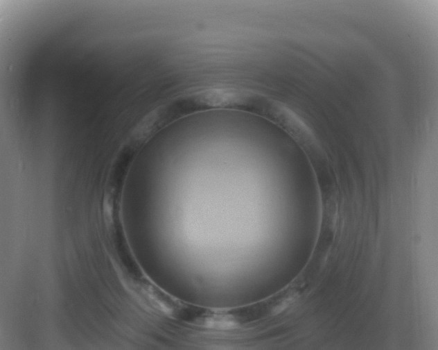 X0000083040214200702091417