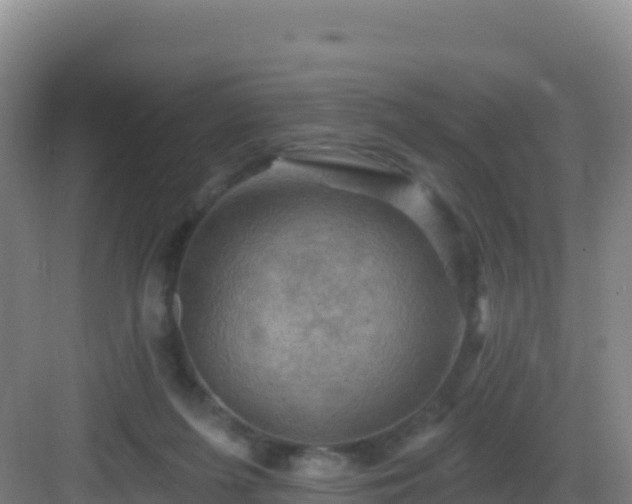 X0000083040215200702091417