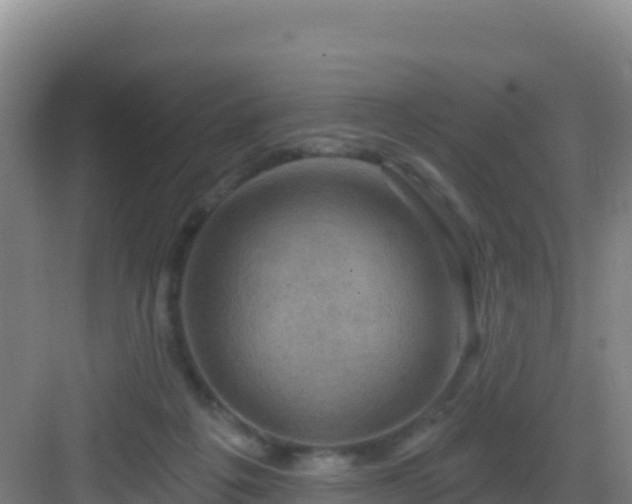 X0000083040217200702091417